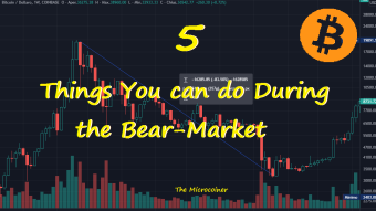 5 Things You can do During the Bear-Market