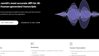 AI Rev Tool