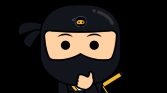 What is Ninjaswap? New DEX, huge Gains and Benefits!