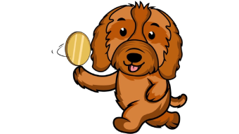 Cavapoo | Changing with World With $CAVA and Community Driven Charitable Missions