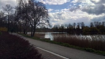 In March, like in a pot - a winter walk on the first days of spring - My Actifit Report Card: March 24 2024