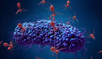 This gel is completely made up of viruses and can destroy bacteria and plastic