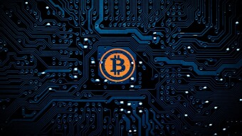 Crypto Rally!