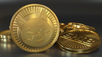 Checking out ShibaSwap 2.0: Advancement in DeFi