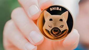 One Day, One Token #17 : Shiba Inu, The Rise of a Meme Coin Superstar (SHIB)