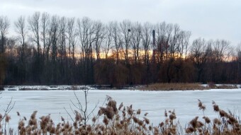 The day is still positive, but it's colder - My Actifit Report Card: January 27, 2026