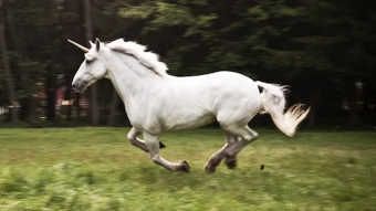 A Lukewarm Unicorn