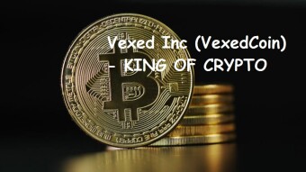 Welcome To Our Official Business Website (VexedCoin)