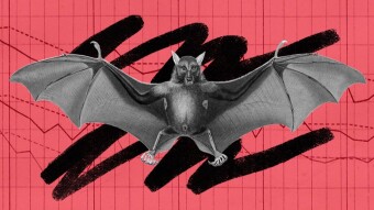 Basic Attention Token (BAT): Price Updates, Recent Developments, Future Events, Community