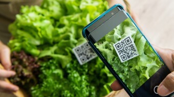 Cashless Society, what's in it for you?