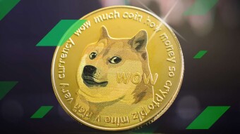 Will Dogecoin Survive? When will Dogecoin Go Back Up?