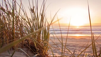 Reflections of Sunshine - Part 2