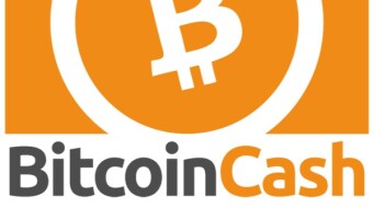 What are the characteristics that make Bitcoin Cash unique?