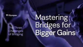 Mastering Bridges for Bigger Gains