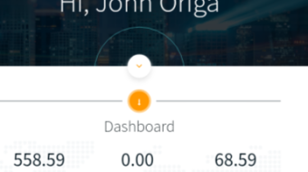 REVIEW: Is payoption.world legit or scam?