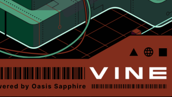 A new interesting project with huge APRs - Vine Money