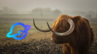 TITAN Moves By Over 35% Over 24 Hours To Lead Crypto Market's Bullish Week