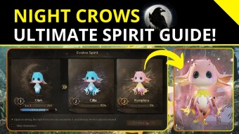 Night Crows 🌒| The Ultimate Spirit Guide - How to Obtain, Evolve and Power Up Them!