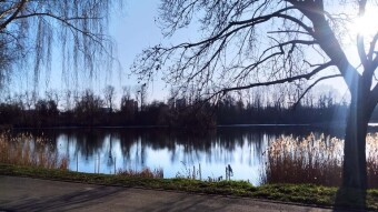 It's hard to believe, but March is like May - My Actifit Report Card: March 8, 2025