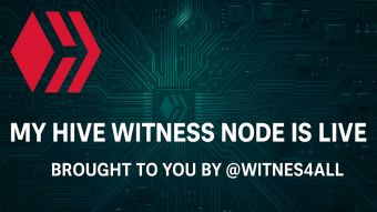 I AM A WITNESS!! 🐝My Hive Witness Node Journey🍯