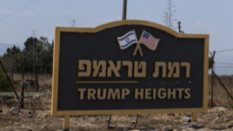 Why Trump is NOT Supported by “Nazis” &/or the Extreme Right