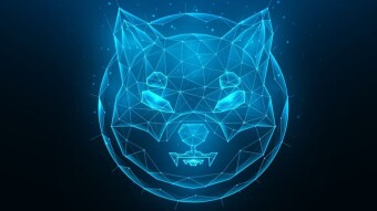 SHIBA - 1DAO