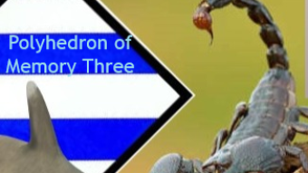Polyhedron of Memory Three  by Will Jones