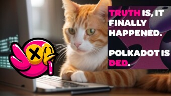 Is Polkadot Ded?
