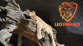 LEO Finance - Lazy writing comes handy by writing more and thinking less