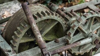 The Highest Caste in the Crypto World