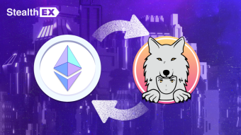 Where To Buy Saitama Inu Coin With The Best Rates?
