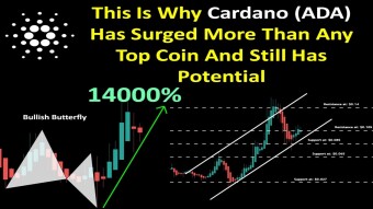 This Is Why Cardano (ADA) Has Surged More Than Any Top Coin And Still Has Potential