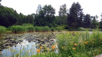 Back to the beautiful park garden, of course by bike - My Actifit Report Card: July 8 2023
