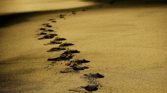 My Crypto Journey - Noob time