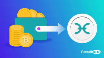 Where To Buy Holochain Holo HOT Coin? The Complete Guide