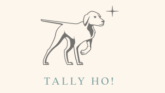Tally Ho - a wallet for EVM networks, a metamask killer?