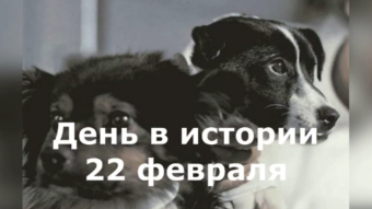 22 февраля - праздники и исторические события дня 2024