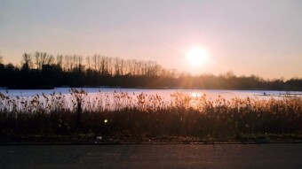 One of the coldest days this winter - My Actifit Report Card: February 18, 2025