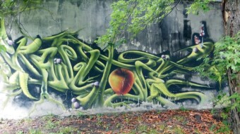 Unusual murals on the walls of the Silesian Zoo - My Actifit Report Card: September 15 2022