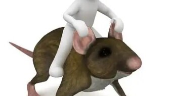 Three Great Ways To Kill Rats In The Home