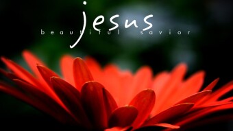Verse of the Day - March 30, 2020