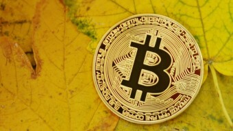Bitcoin and Altcoins Fall on Bloody Tuesday- What is Happening?