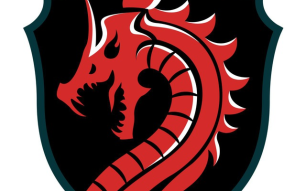 Join The hot bounty Program Of Dragon Token.