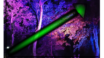 The Year of Natural Psychedelics. Invest Now! And Have a Nice Trip.