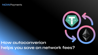 How autoconversion can help you save on network fees