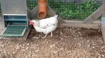 Armada Farm #3