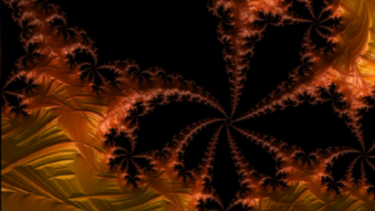 Trading the pumps and dumps