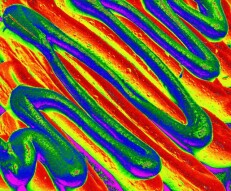 TrippyThursday: Melting Rainbow...