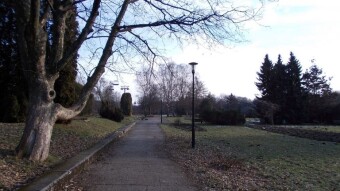 A beautiful winter Sunday with a hint of spring - My Actifit Report Card: January 26, 2025