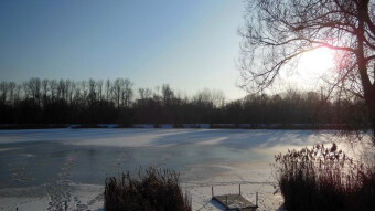 A frosty night but a bright day
